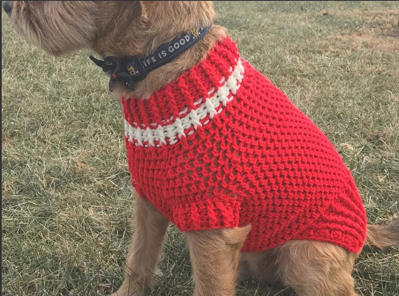 12 Crochet Dog Sweater Patterns For Your Fur Babies | Cream Of The Crop