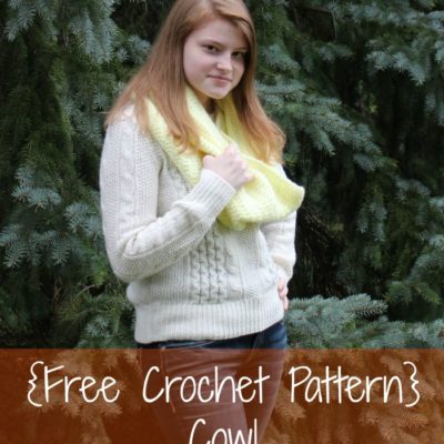 Marissa Cowl Crochet Pattern