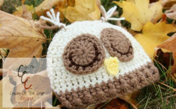 Cream Of The Crop Crochet ~ Preemie/Newborn Sleepy Owl Hats {Free Crochet Pattern}