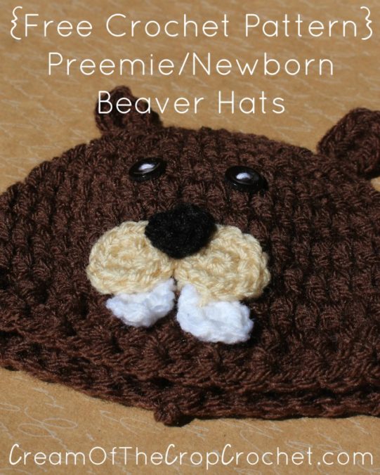 Cream Of The Crop Crochet ~ Preemie/Newborn Beaver Hats {Free Crochet Pattern}
