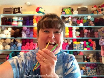Meet & Greet, Sara Sach! | Cream Of The Crop Crochet