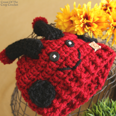 Dot the Ladybug Hat Crochet Pattern