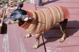Autumn Stripes Crochet Min Pin Sweater