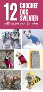 12 Crochet Dog Sweater Patterns For Your Fur Babies