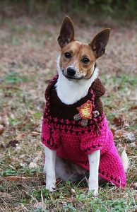 Custom-Fit Dog Sweater Crochet Pattern