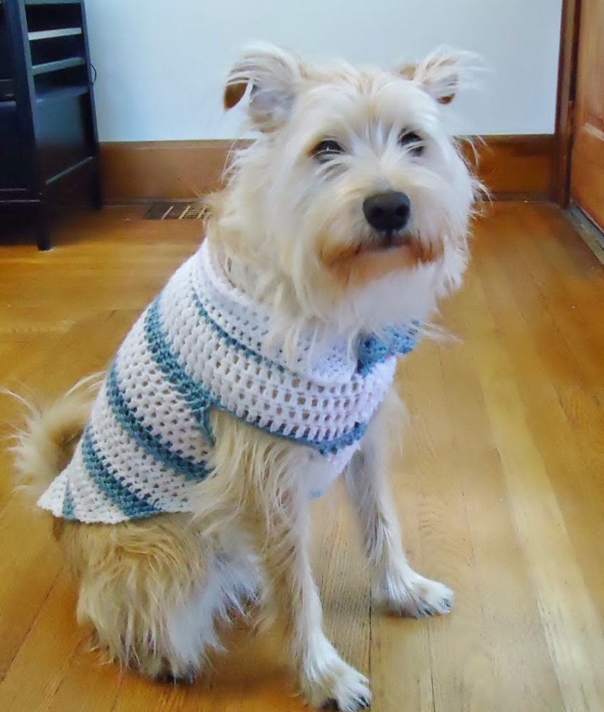 Spring Striped Dog Sweater With Collar Crochet Pattern